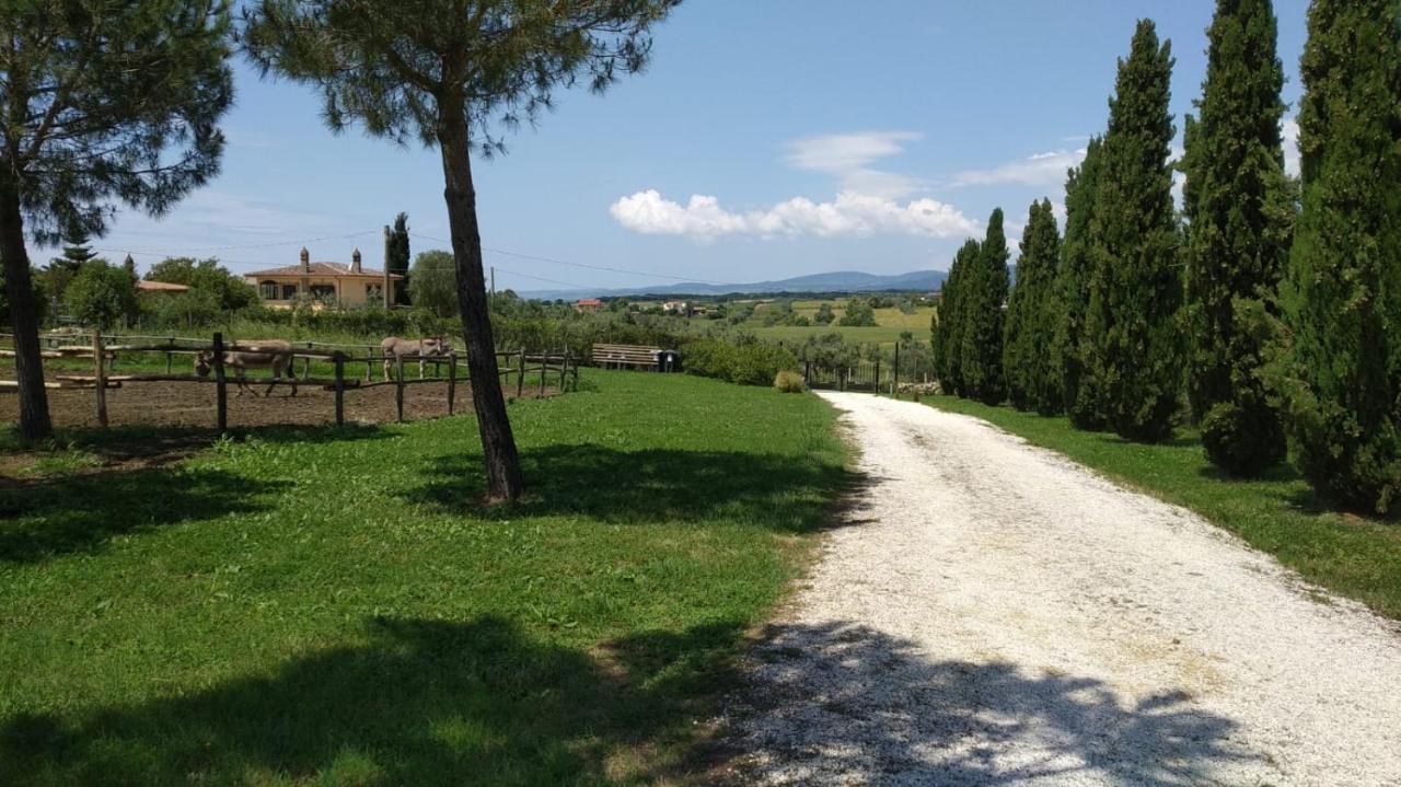 Agriturismo Casale San Benedetto Ceri Exterior photo